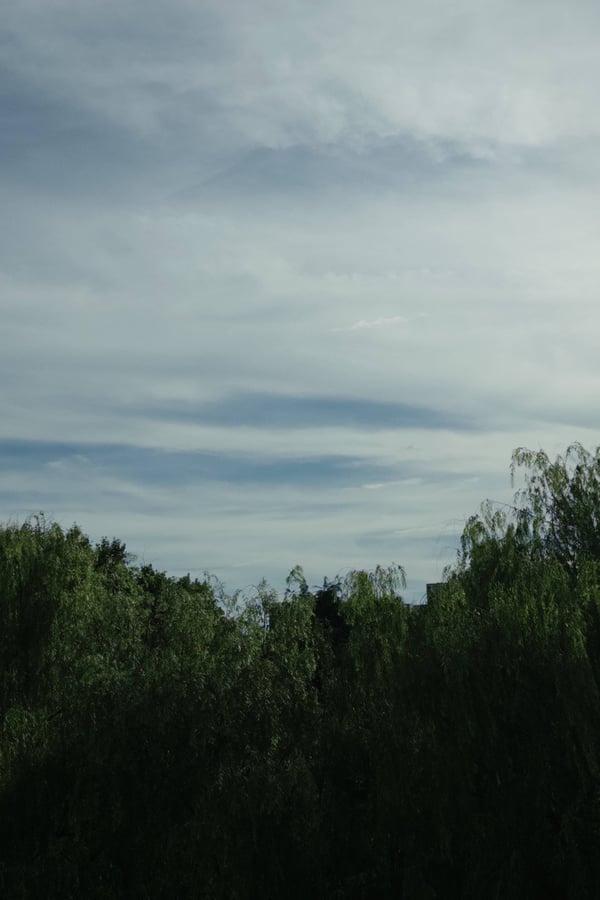 2026.07.06 16:42